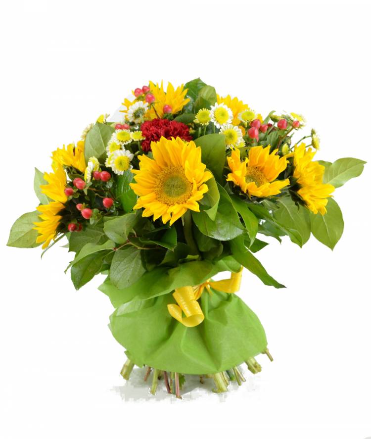 Румяная заря